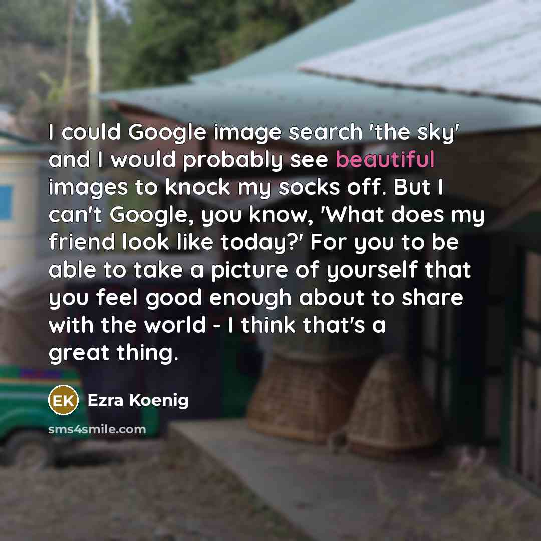 “I could Google image search 'the sky' and I would…” quote by Ezra Koenig