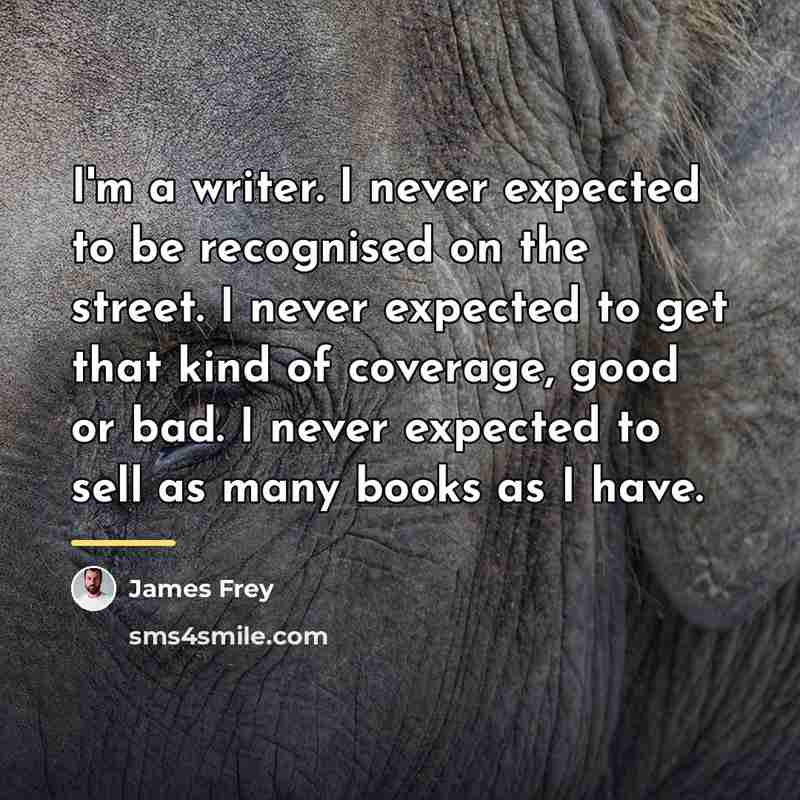 “I'm a writer. I never expected to be recognised on…” quote by James Frey