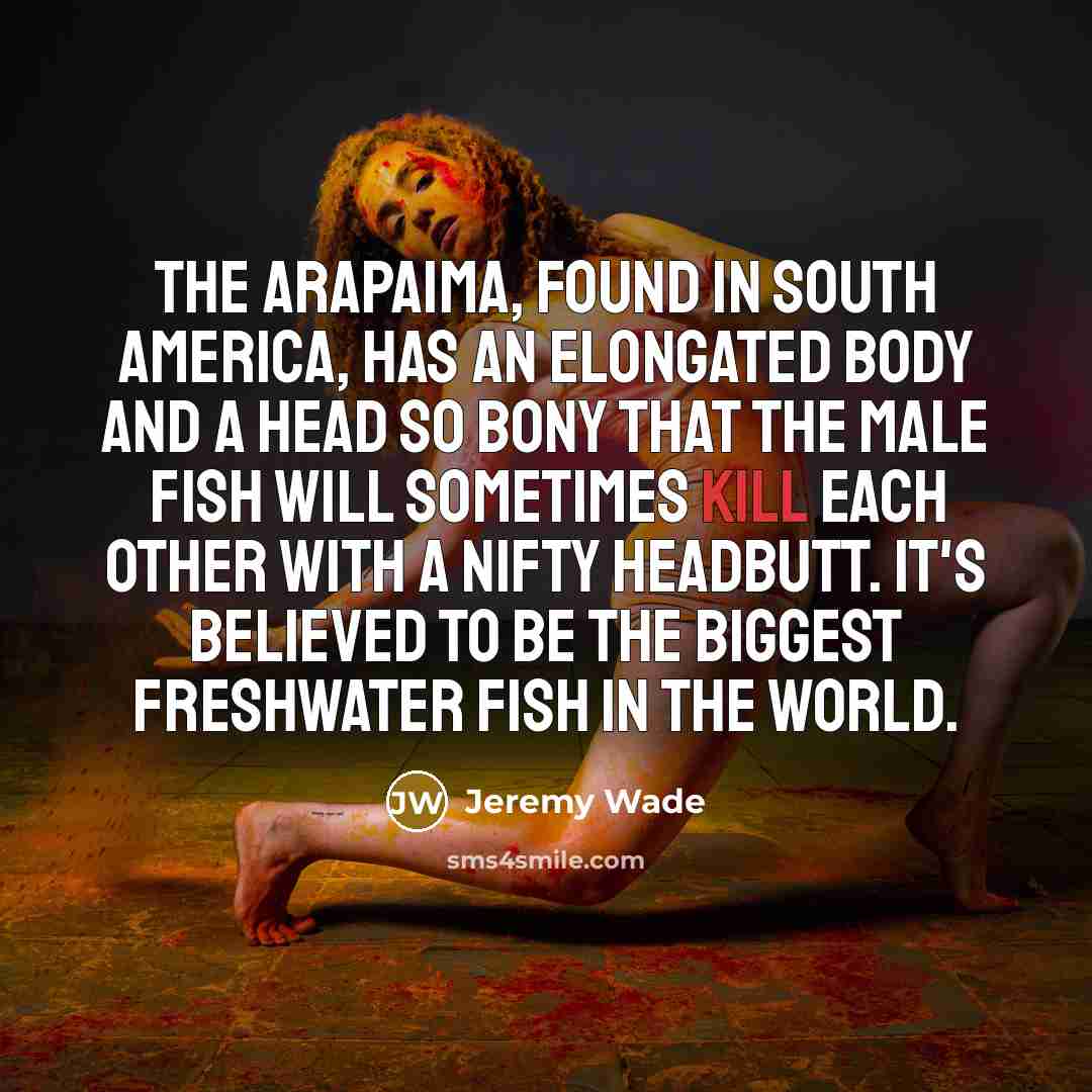 “The arapaima, found in South America, has an elongated body…” quote by Jeremy Wade