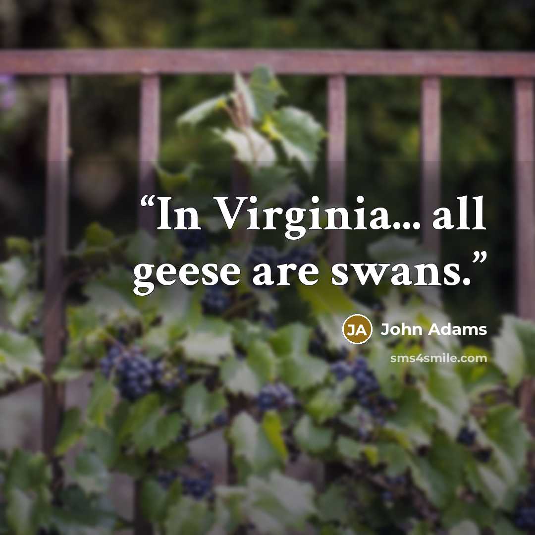 “In Virginia... all geese are swans.” quote by John Adams
