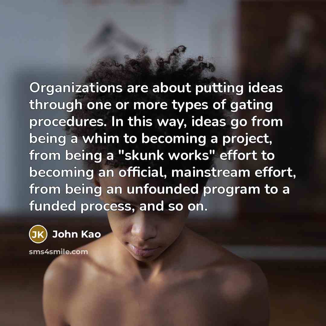“Organizations are about putting ideas through one or more types…” quote by John Kao
