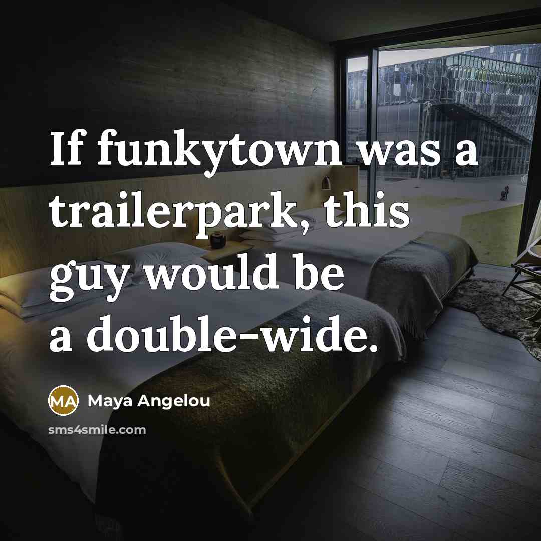 “If funkytown was a trailerpark, this guy would be a…” quote by Maya Angelou