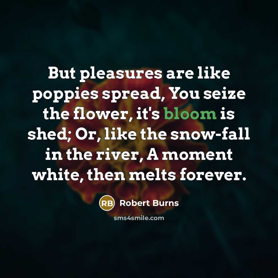 “But pleasures are like poppies spread, You seize the flower,…” quote by Robert Burns