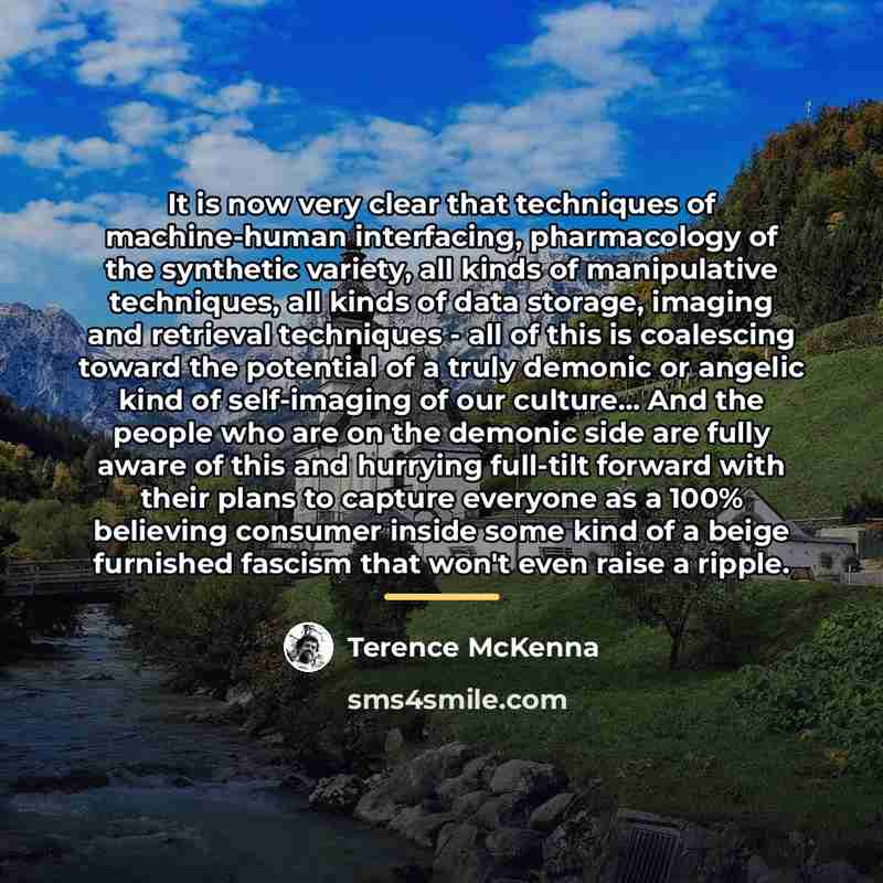 “It is now very clear that techniques of machine-human interfacing,…” quote by Terence McKenna