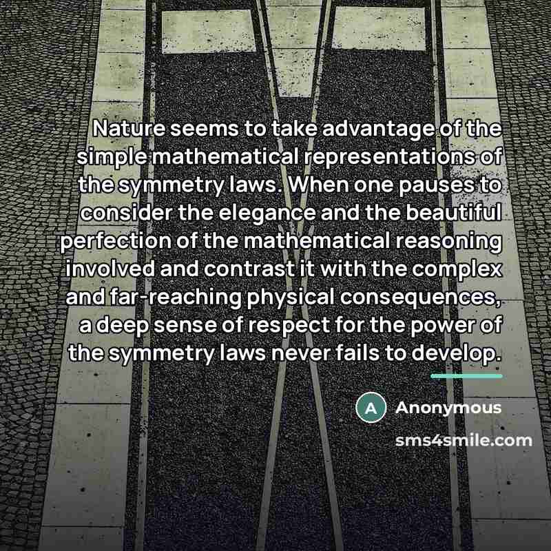 “Nature seems to take advantage of the simple mathematical representations…” quote by Anonymous