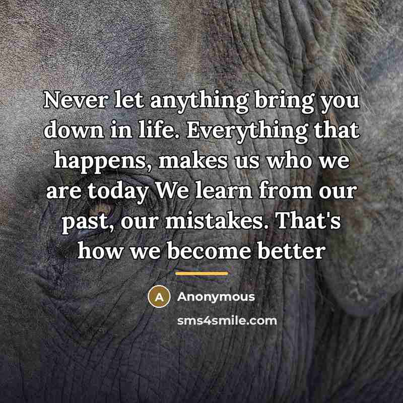 “Never let anything bring you down in life. Everything that…” quote by Anonymous
