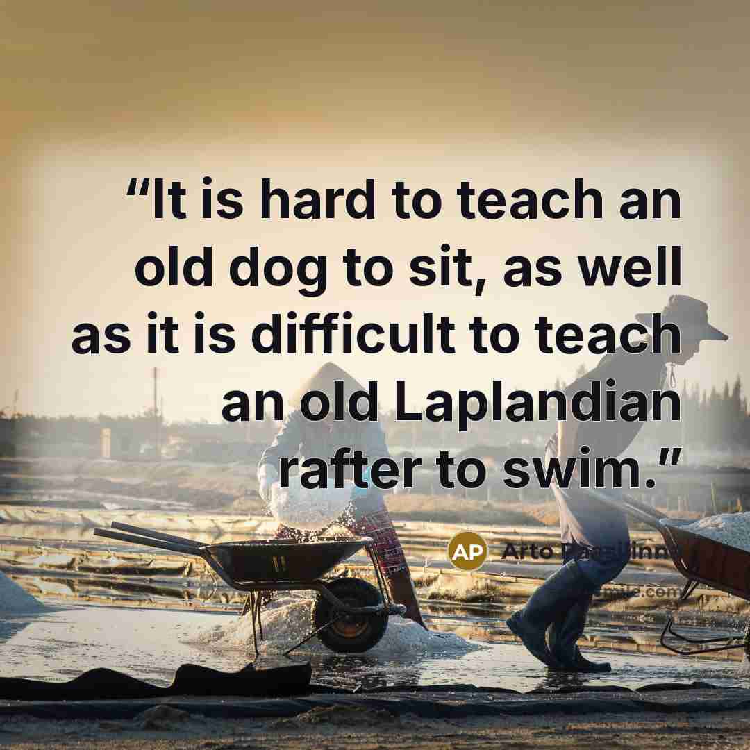 “It is hard to teach an old dog to sit, as well as it is difficult to teach an old Laplandian rafter to swim.” quote by Arto Paasilinna