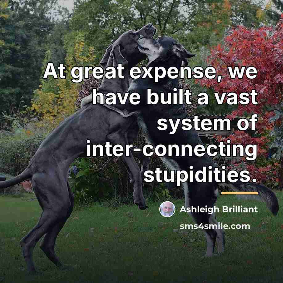 “At great expense, we have built a vast system of…” quote by Ashleigh Brilliant