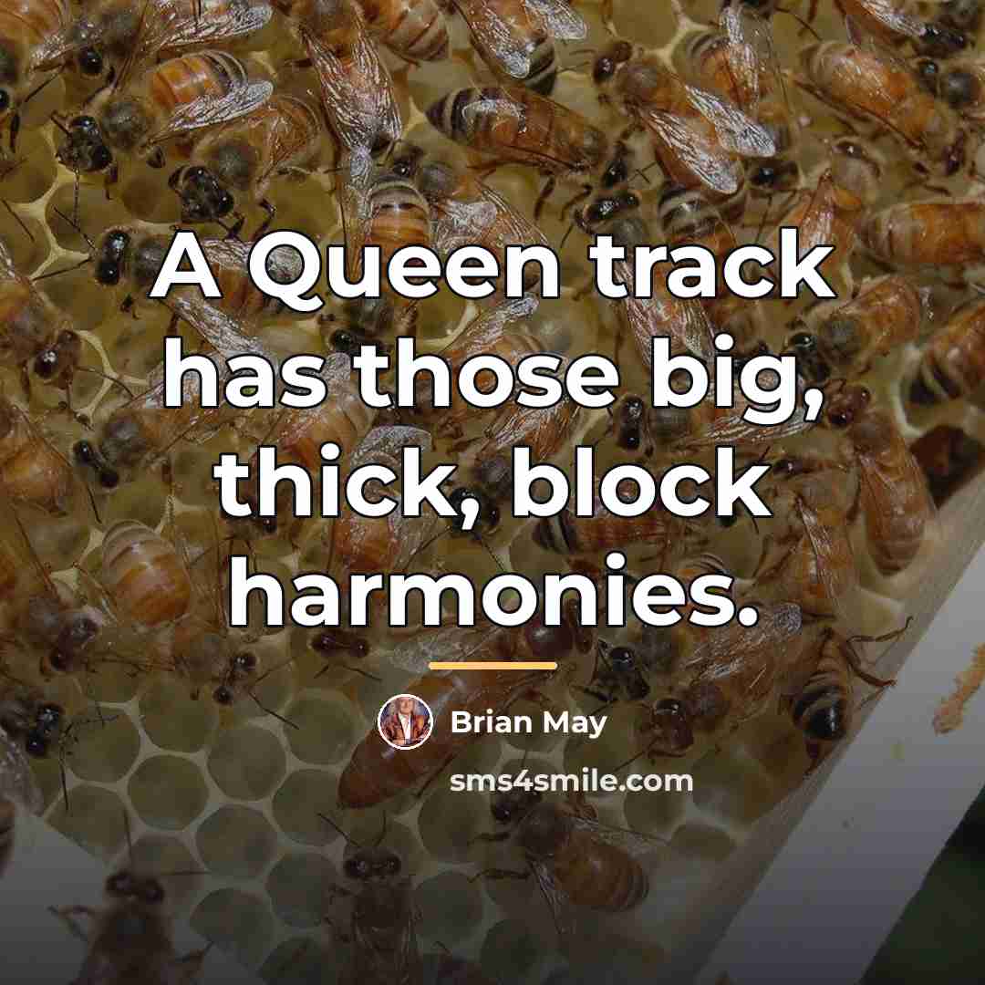 “A Queen track has those big, thick, block harmonies.…” quote by Brian May