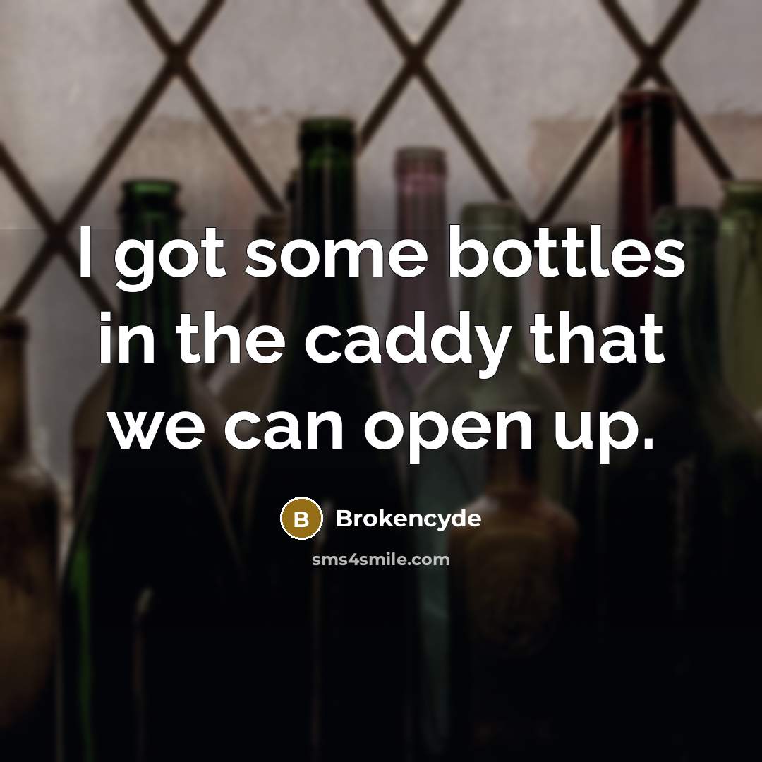 “I got some bottles in the caddy that we can open up.” quote by Brokencyde