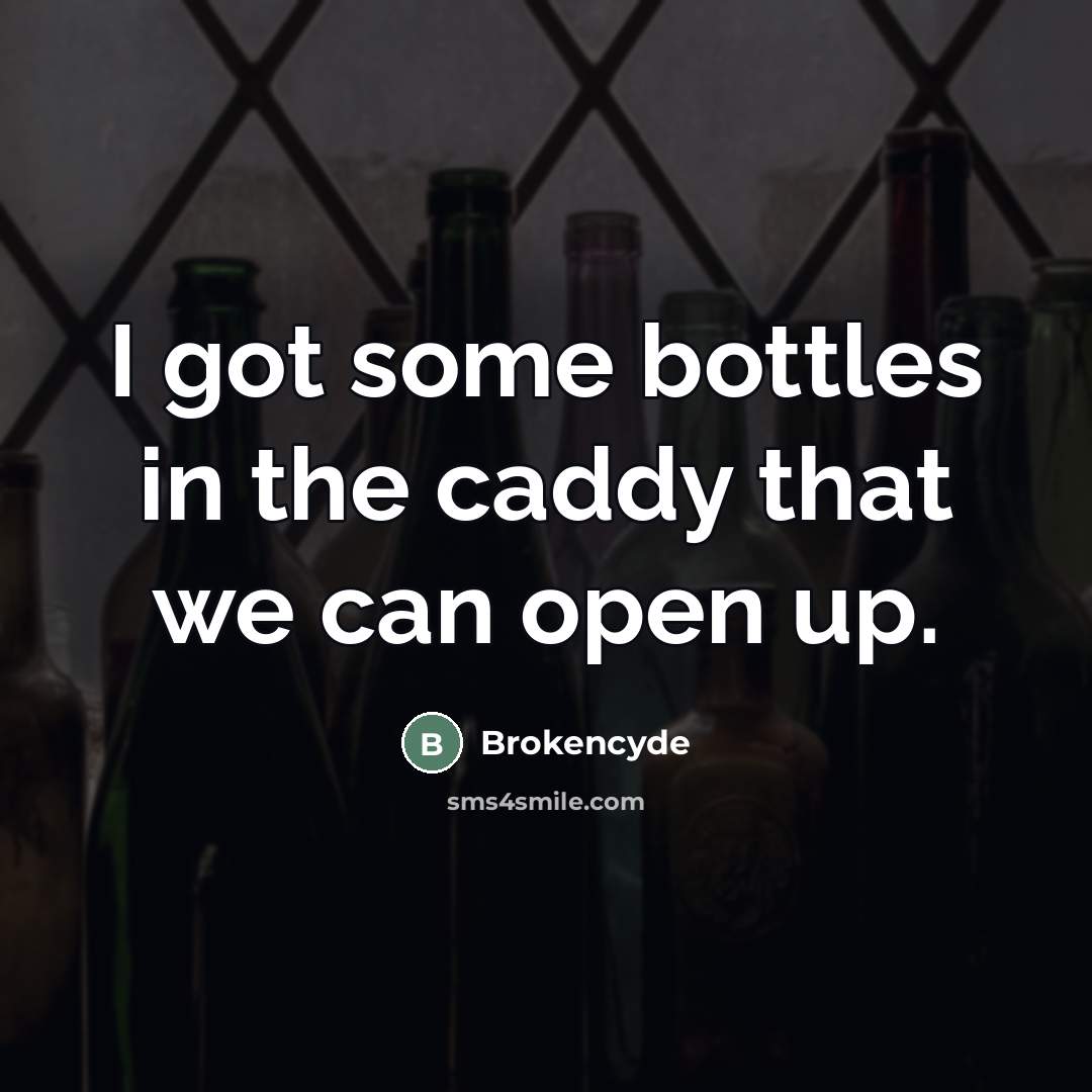 “I got some bottles in the caddy that we can…” quote by Brokencyde