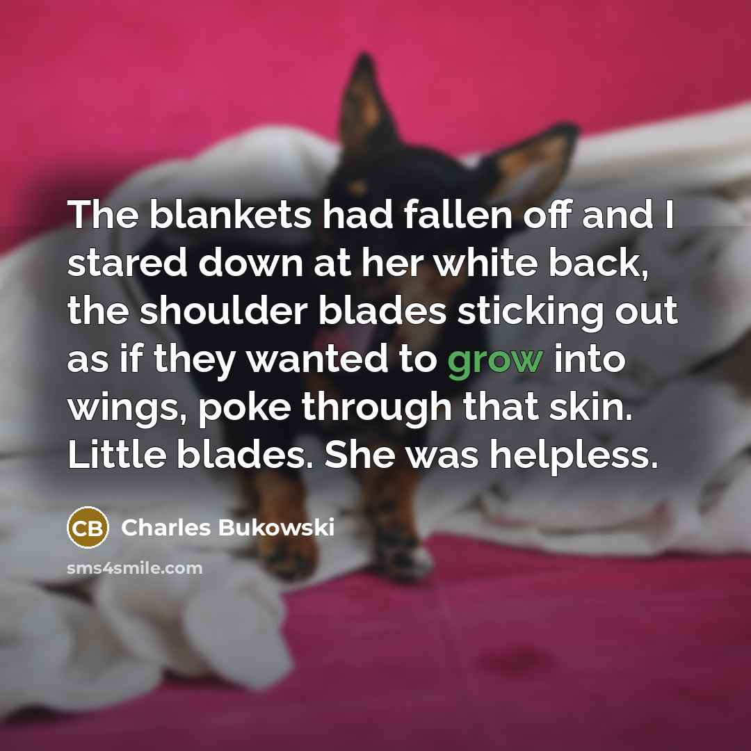 “The blankets had fallen off and I stared down at…” quote by Charles Bukowski