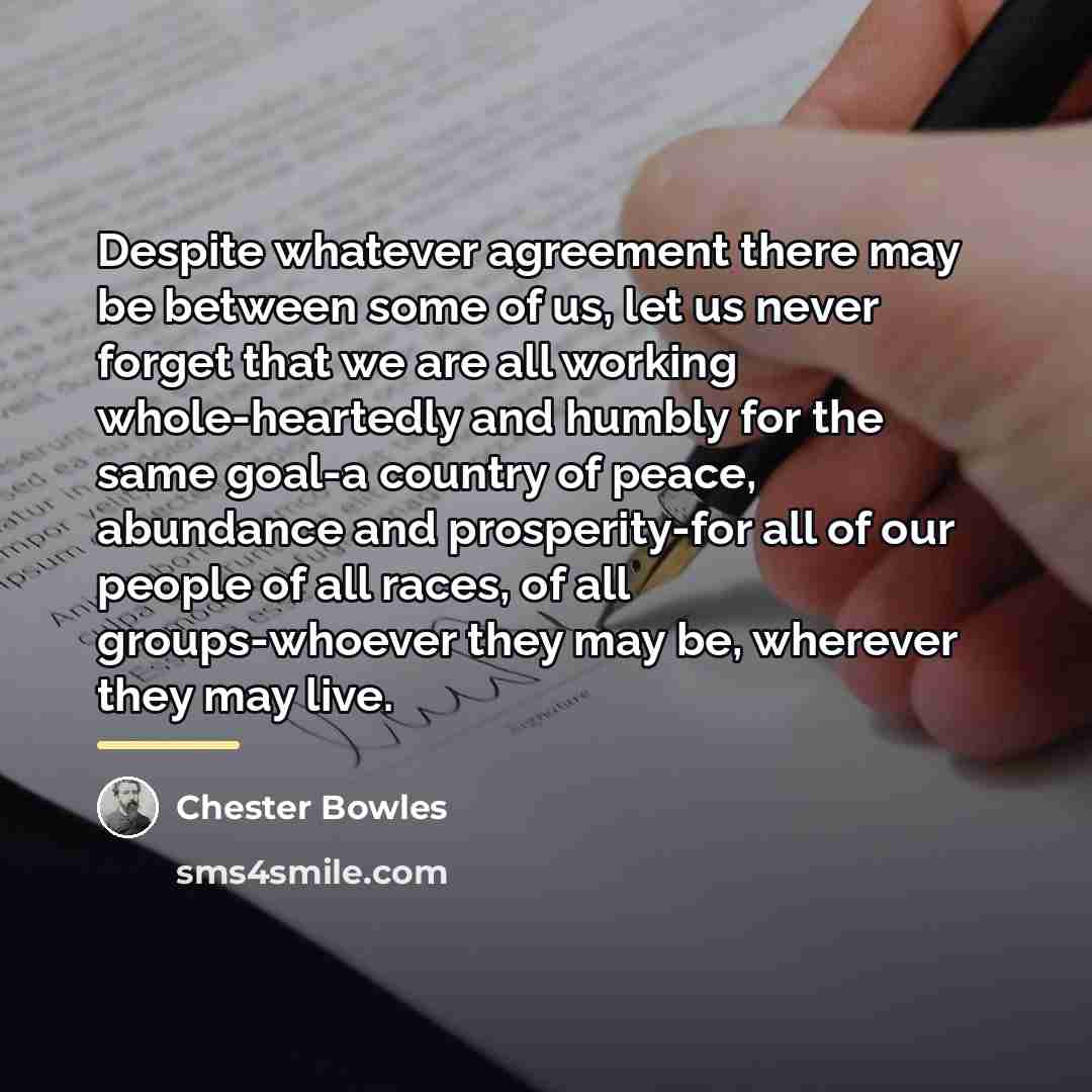“Despite whatever agreement there may be between some of us,…” quote by Chester Bowles