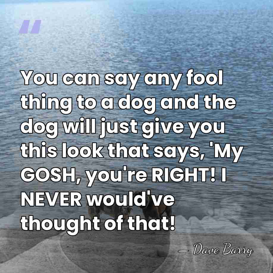 You can say any fool thing to a dog and the dog&hellip; - Dave Barry