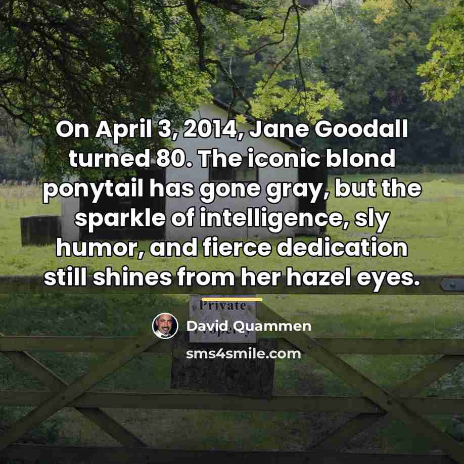 “On April 3, 2014, Jane Goodall turned 80. The iconic…” quote by David Quammen