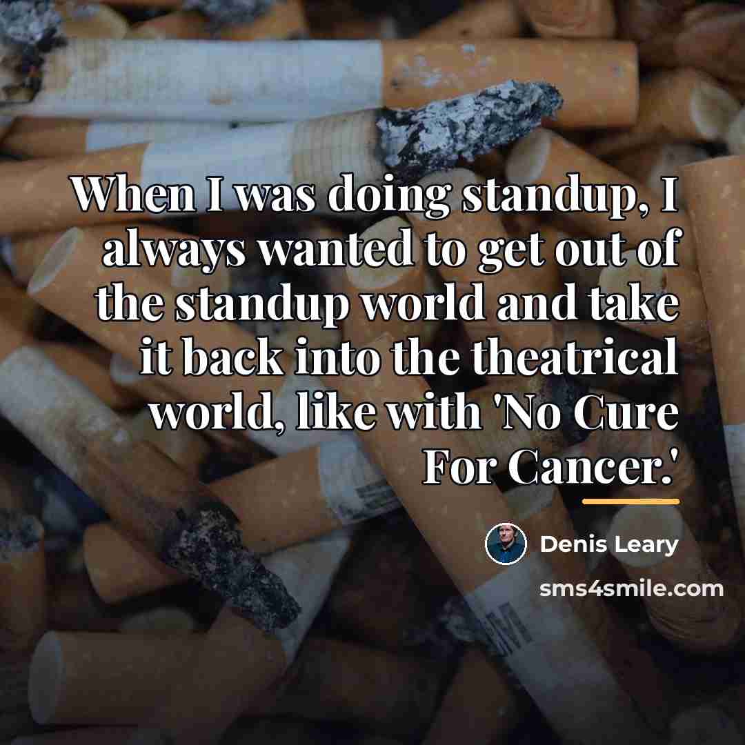 “When I was doing standup, I always wanted to get…” quote by Denis Leary