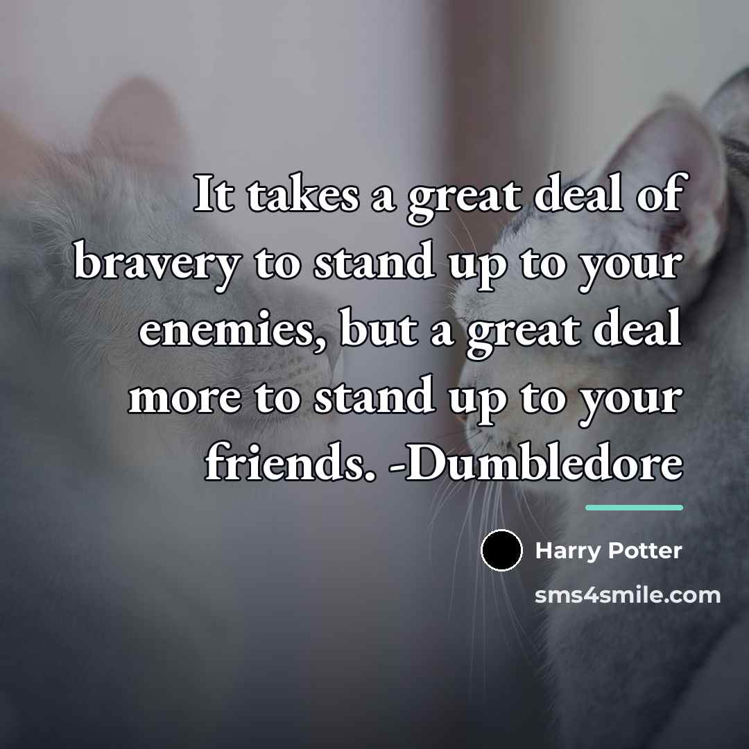 “It takes a great deal of bravery to stand up…” quote by Harry Potter