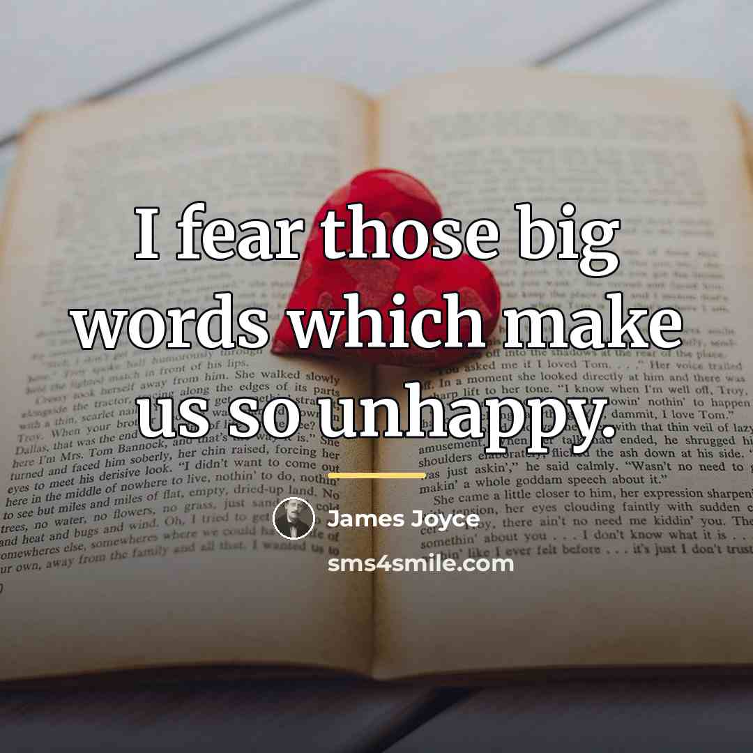 “I fear those big words which make us so unhappy.…” quote by James Joyce