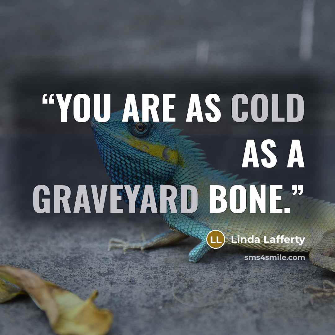 “You are as cold as a graveyard bone.” quote by Linda Lafferty