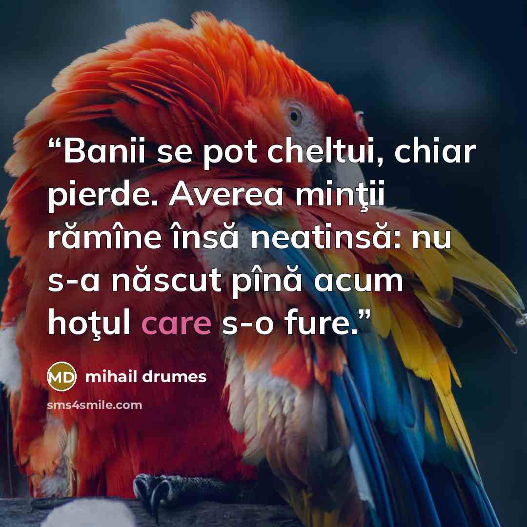 “Banii se pot cheltui, chiar pierde. Averea minţii rămîne însă neatinsă: nu s-a născut pînă acum hoţul care s-o fure.” quote by Mihail Drumeş