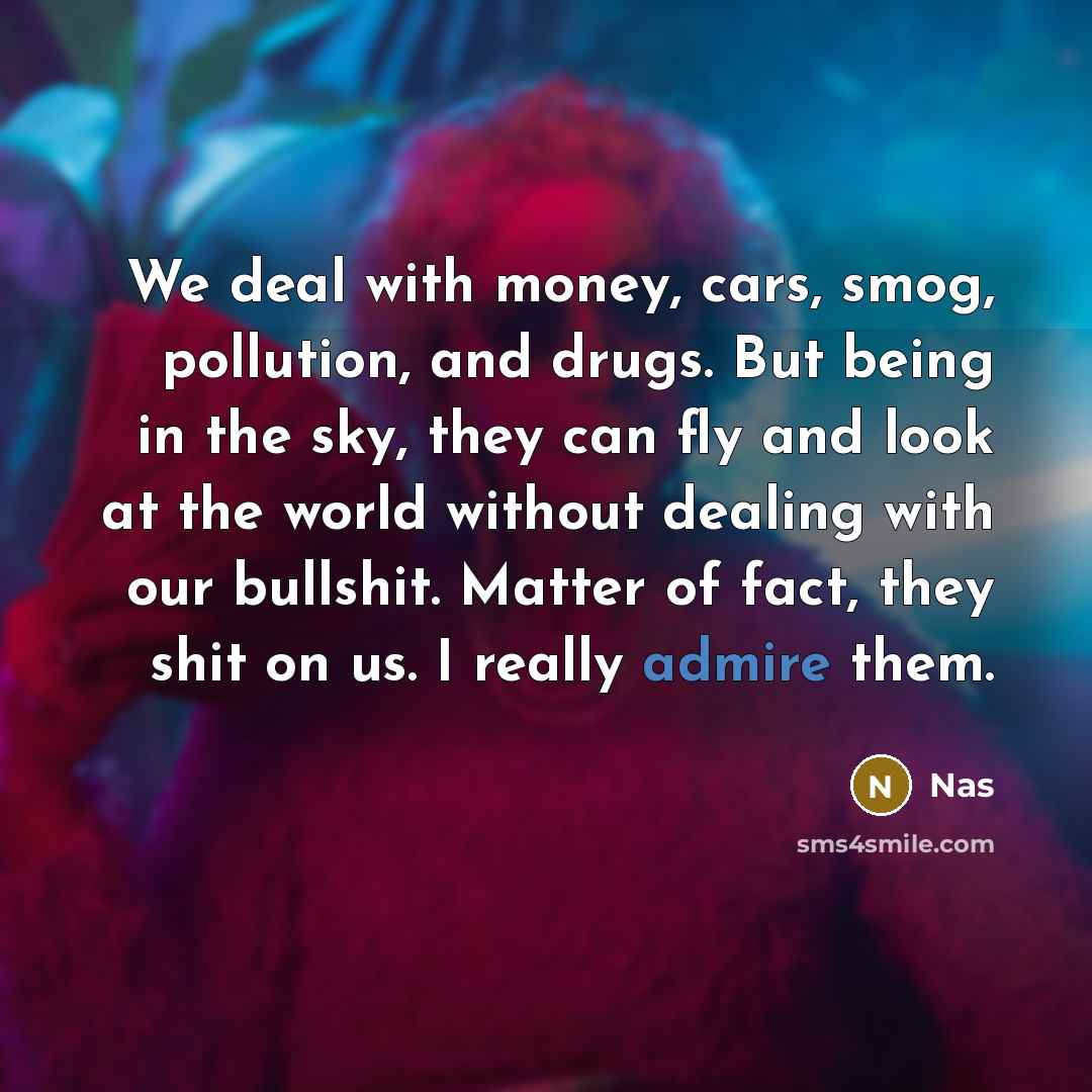 “We deal with money, cars, smog, pollution, and drugs. But…” quote by Nas