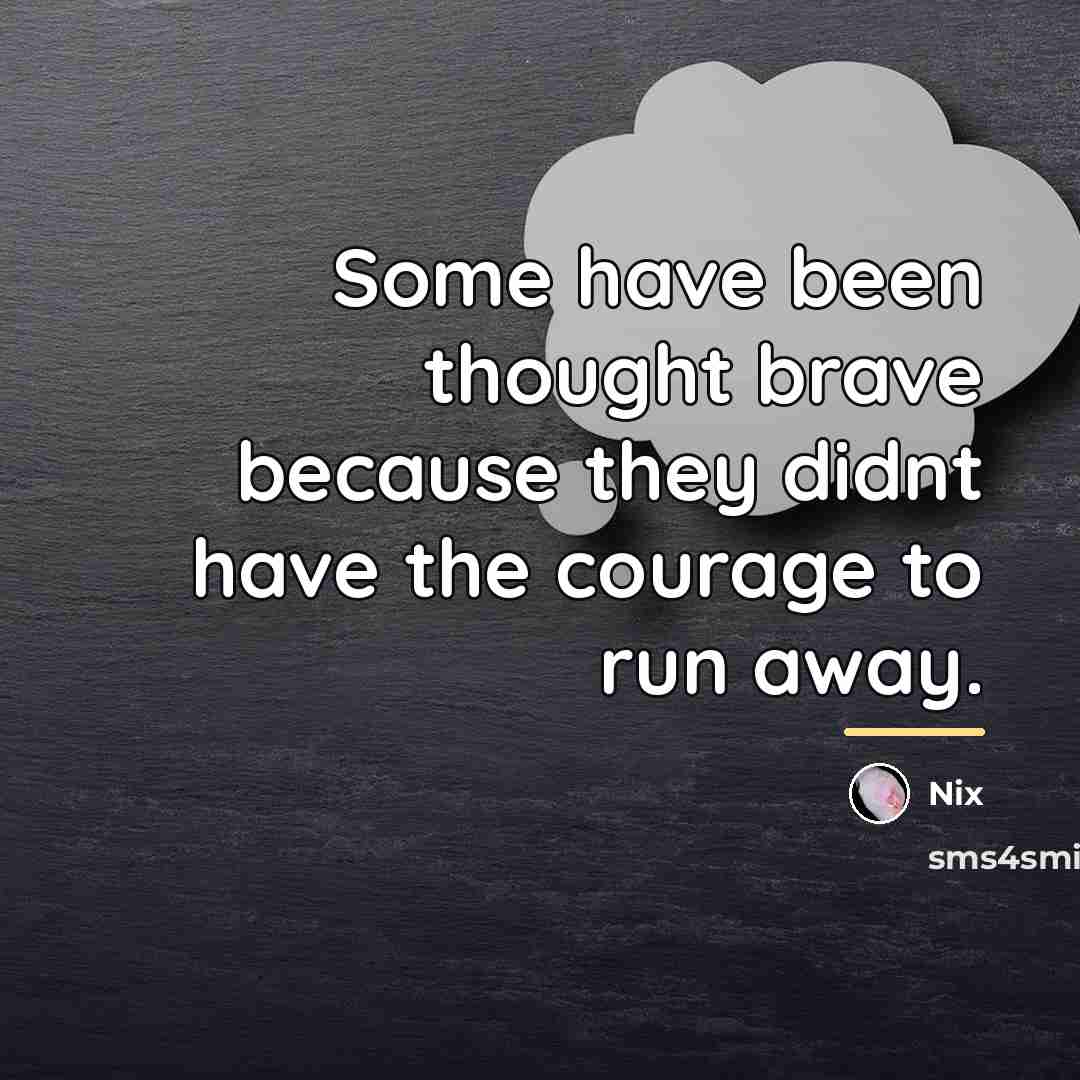 “Some have been thought brave because they didnt have the…” quote by Nix