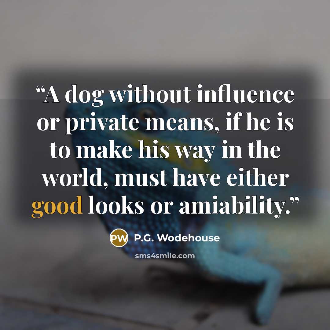 “A dog without influence or private means, if he is to make his way in the world, must have either good looks or amiability.” quote by P.G. Wodehouse