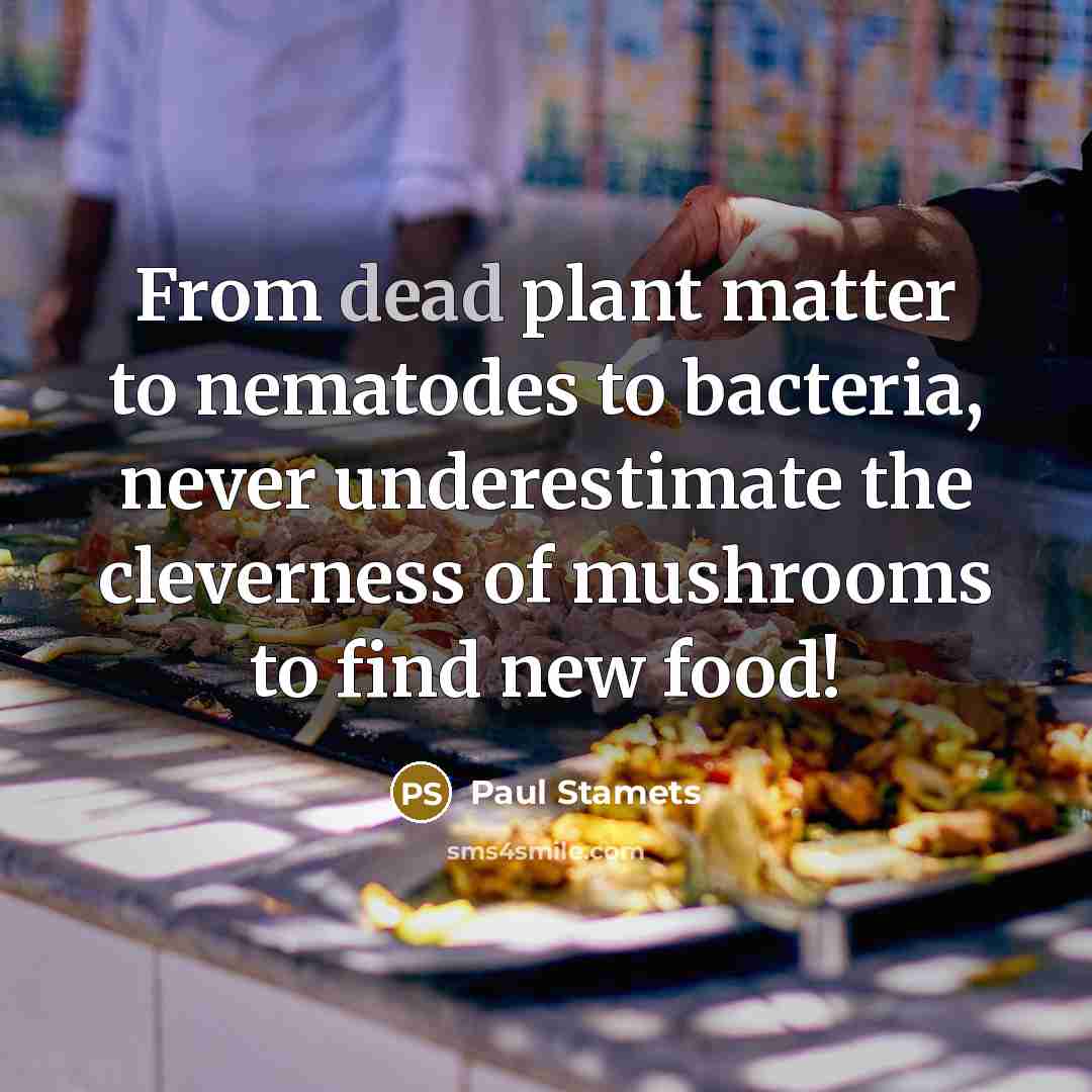 “From dead plant matter to nematodes to bacteria, never underestimate…” quote by Paul Stamets