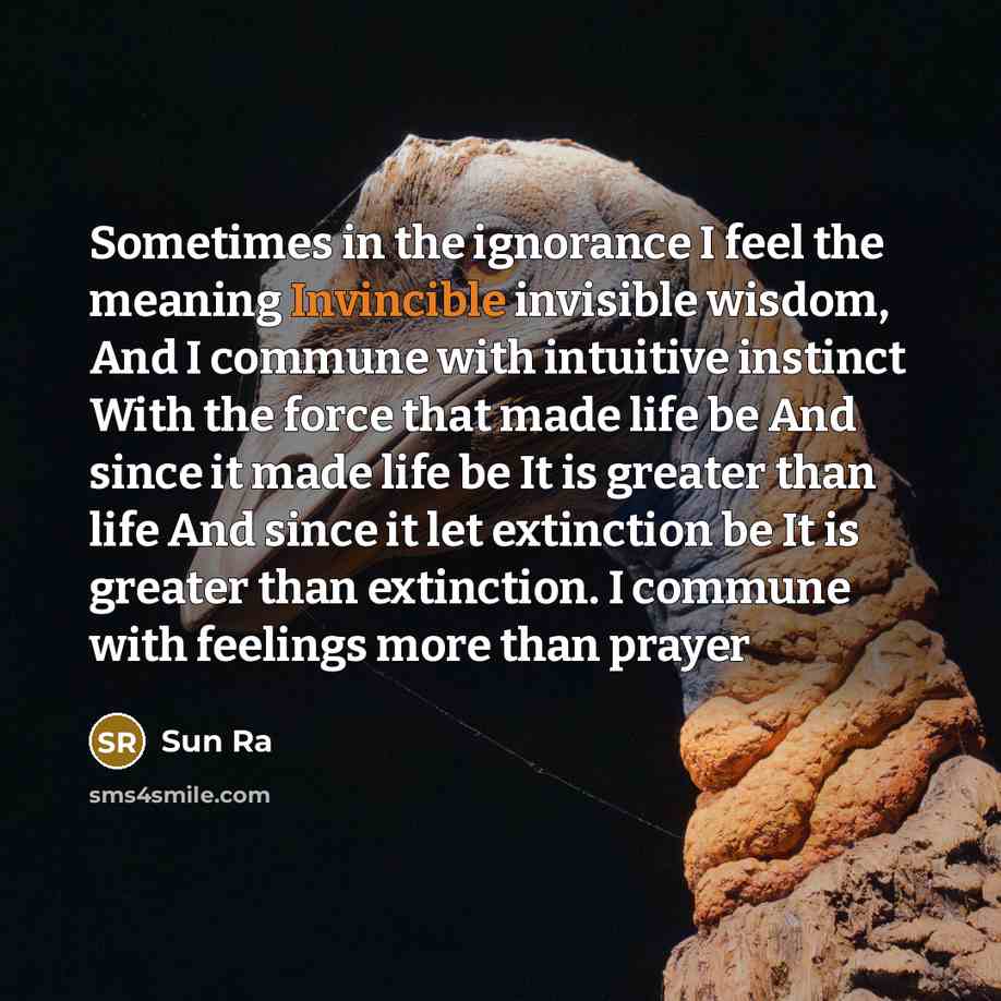 “Sometimes in the ignorance I feel the meaning Invincible invisible…” quote by Sun Ra