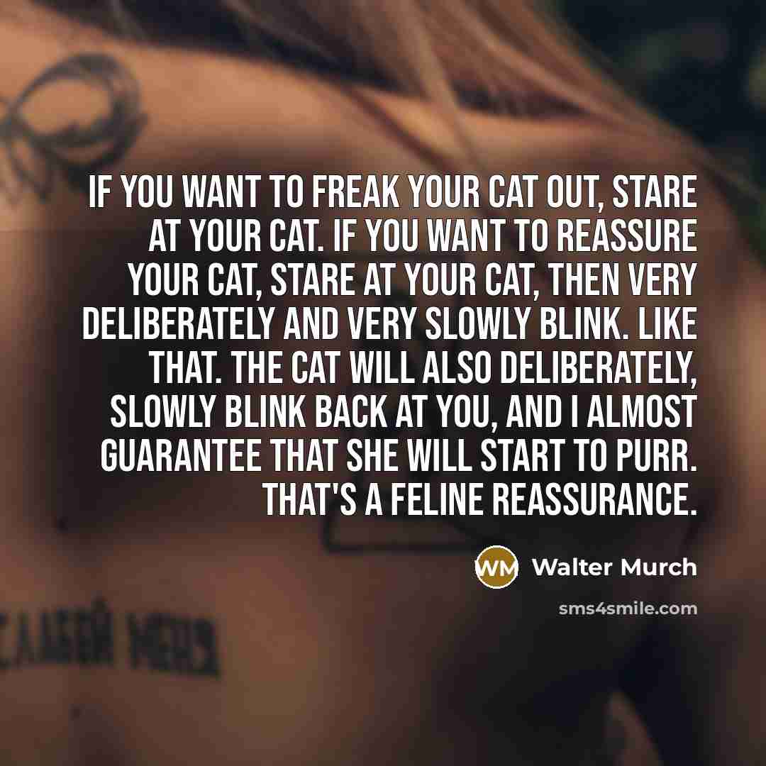 “If you want to freak your cat out, stare at…” quote by Walter Murch