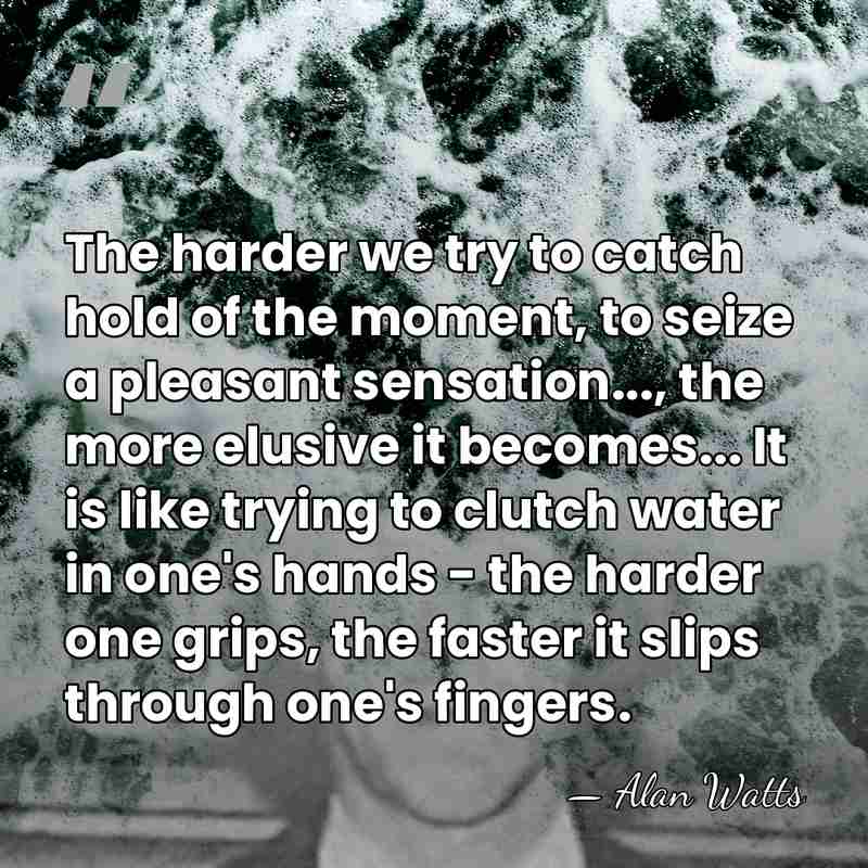 The harder we try to catch hold of the moment, to seize&hellip; - Alan Watts