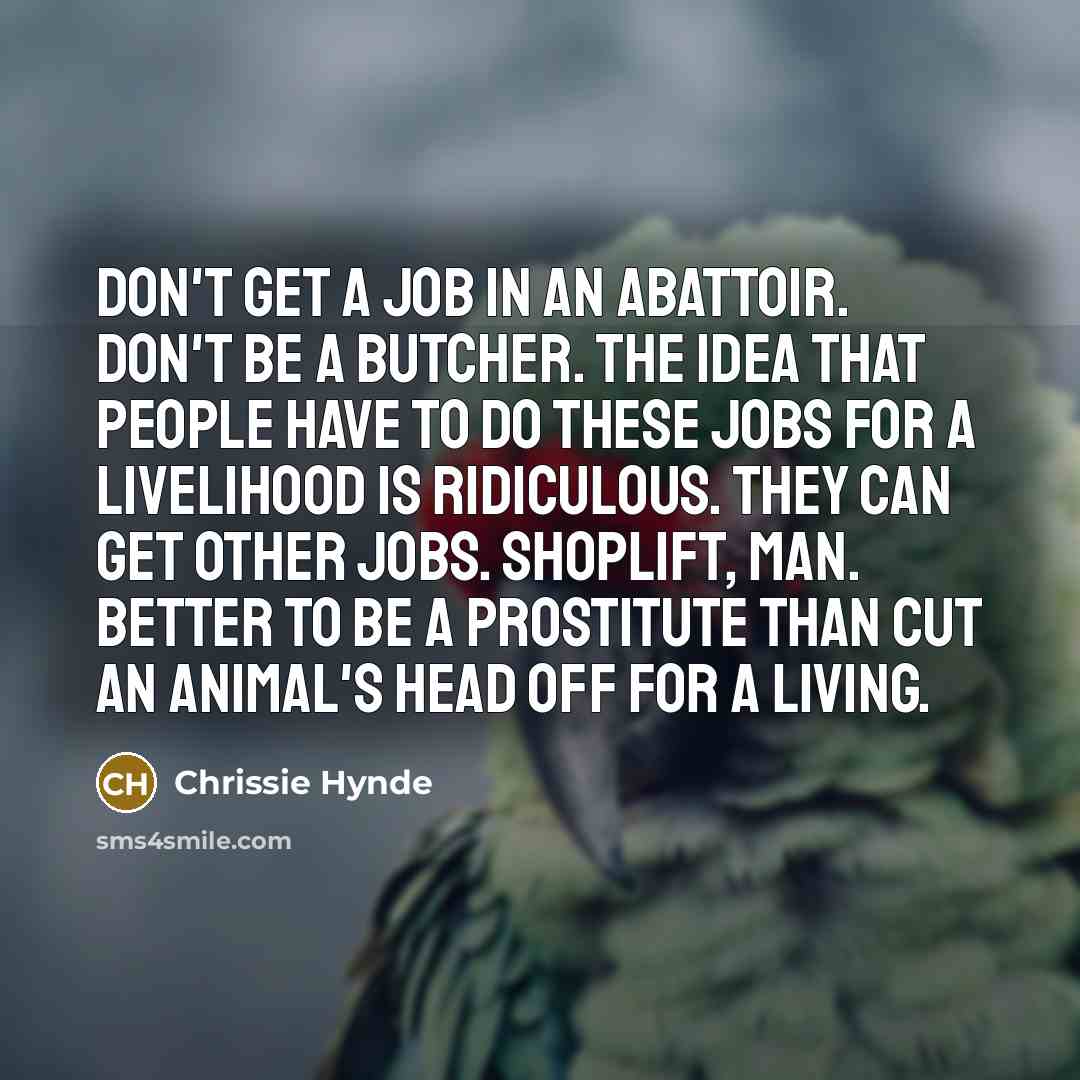 “Don't get a job in an abattoir. Don't be a…” quote by Chrissie Hynde
