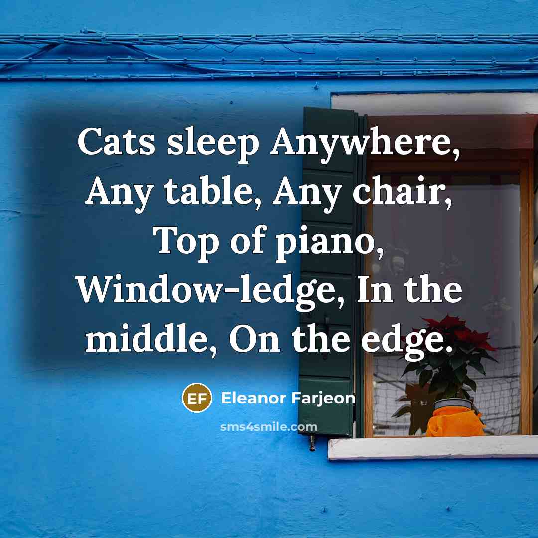 “Cats sleep Anywhere, Any table, Any chair, Top of piano,…” quote by Eleanor Farjeon