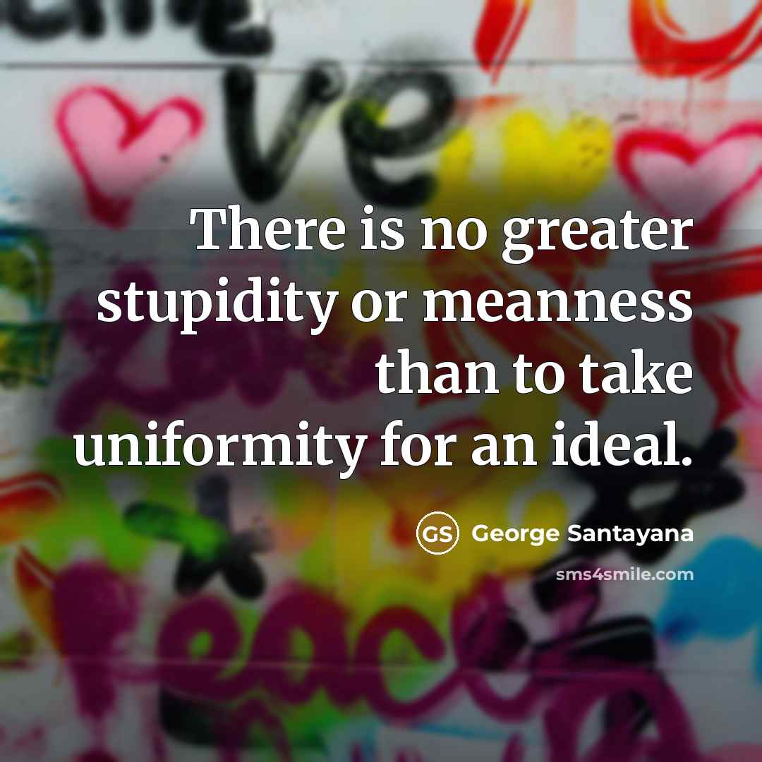 “There is no greater stupidity or meanness than to take…” quote by George Santayana