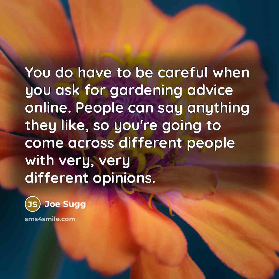 “You do have to be careful when you ask for…” quote by Joe Sugg