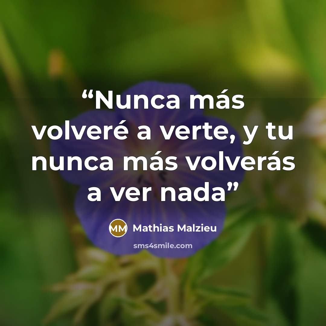 “Nunca más volveré a verte, y tu nunca más volverás a ver nada” quote by Mathias Malzieu