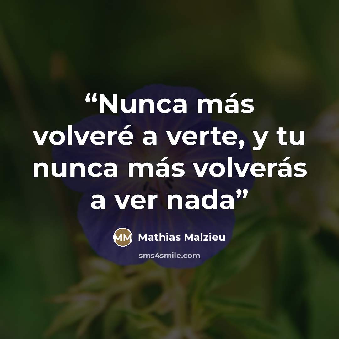 “Nunca más volveré a verte, y tu nunca más volverás a ver nada” quote by Mathias Malzieu