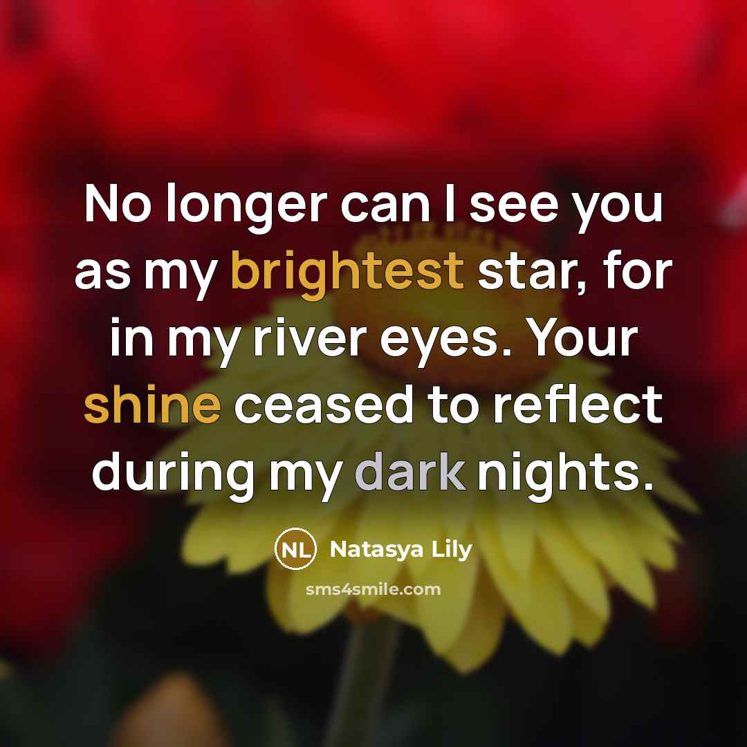 “No longer can I see you as my brightest star, for in my river eyes. Your shine ceased to reflect during my dark nights.” quote by Natasya Lily