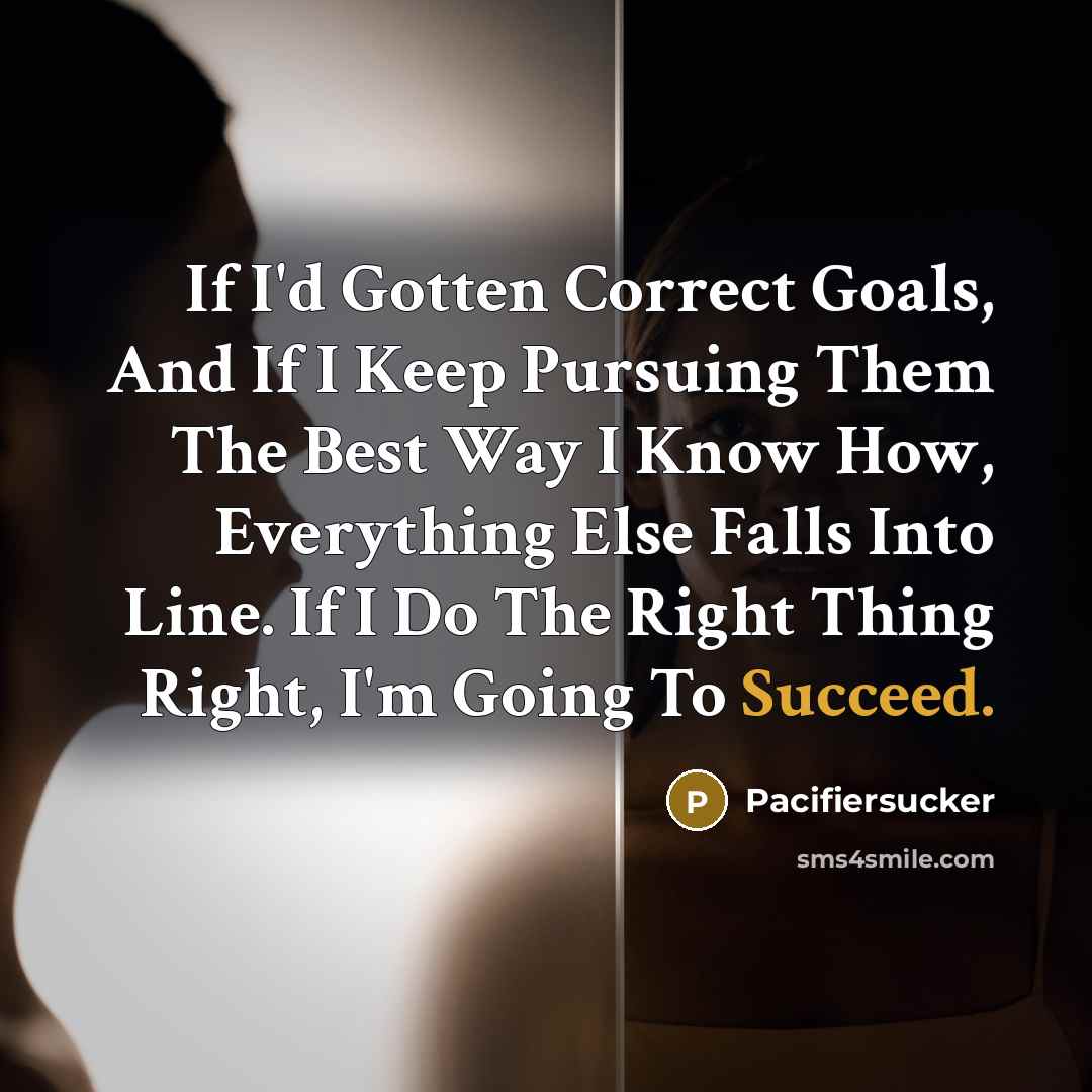 “If I'd Gotten Correct Goals, And If I Keep Pursuing…” quote by Pacifiersucker
