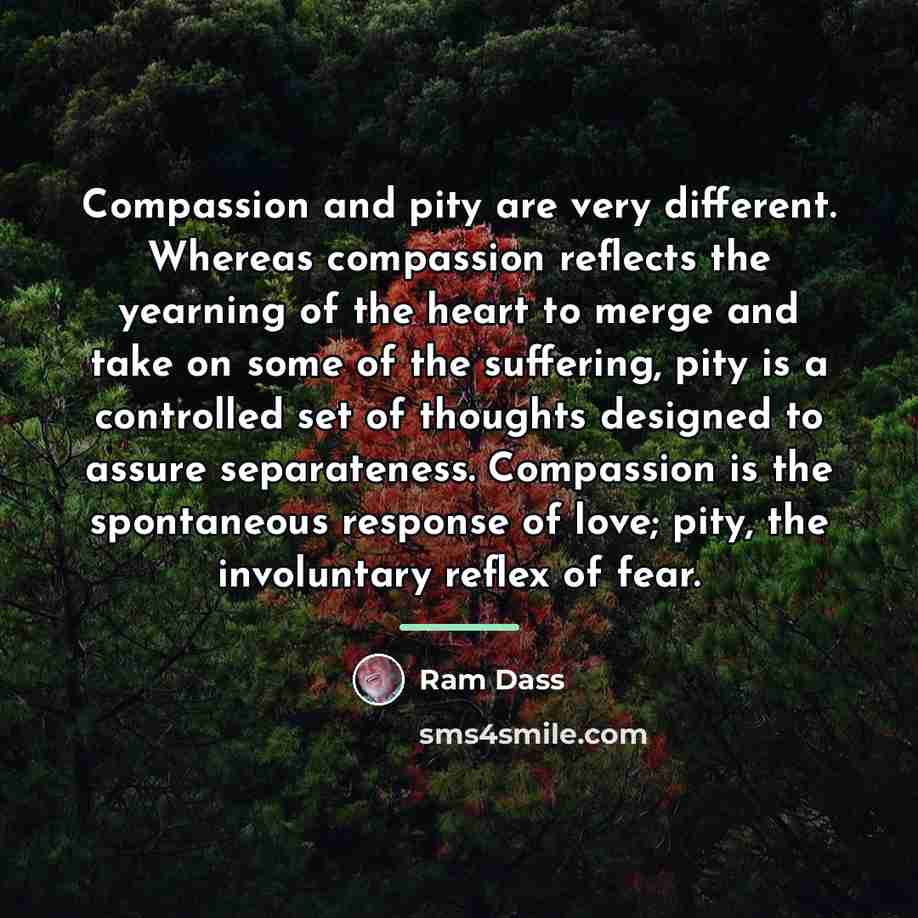 “Compassion and pity are very different. Whereas compassion reflects the…” quote by Ram Dass