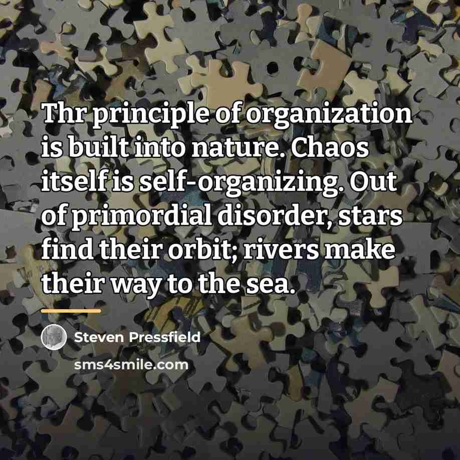 “Thr principle of organization is built into nature. Chaos itself…” quote by Steven Pressfield