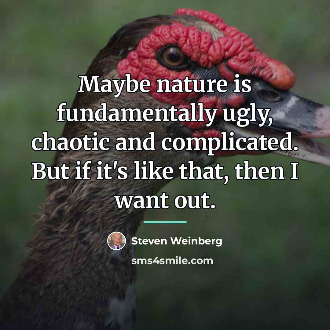 “Maybe nature is fundamentally ugly, chaotic and complicated. But if…” quote by Steven Weinberg