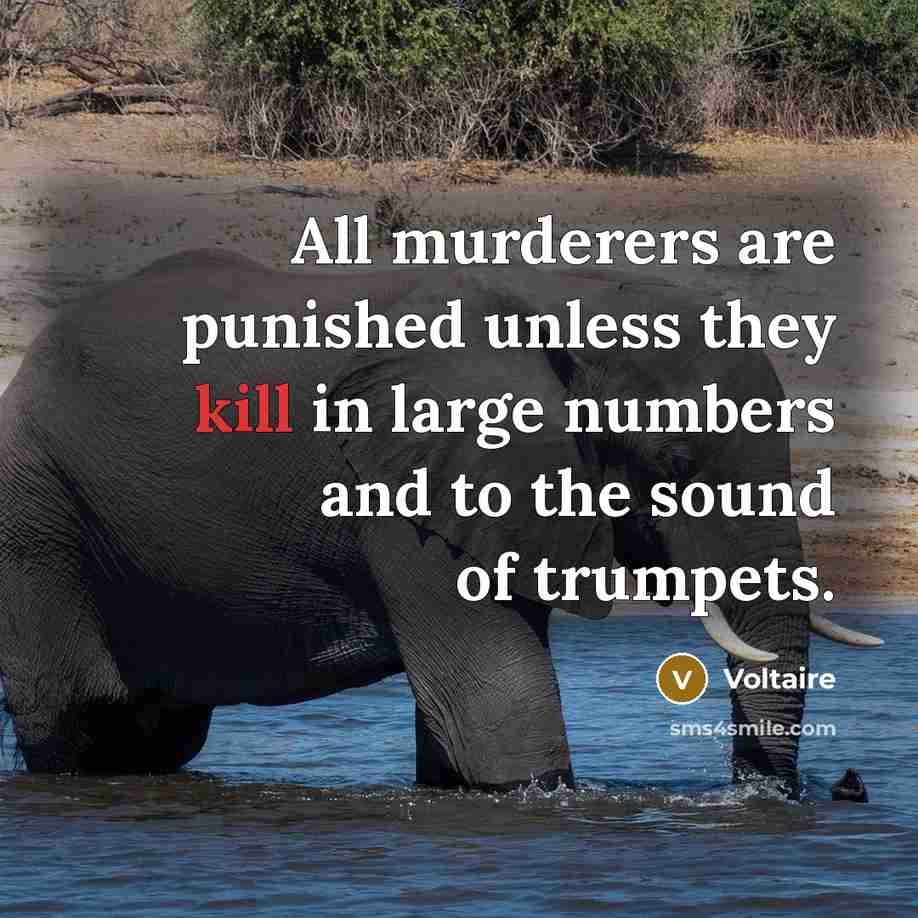 “All murderers are punished unless they kill in large numbers…” quote by Voltaire