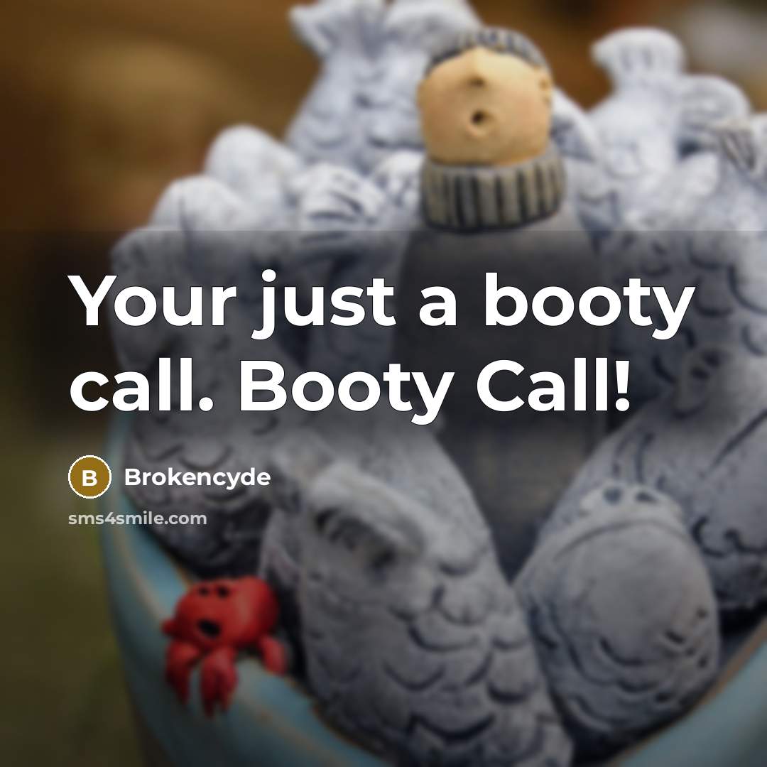 “Your just a booty call. Booty Call!” quote by Brokencyde
