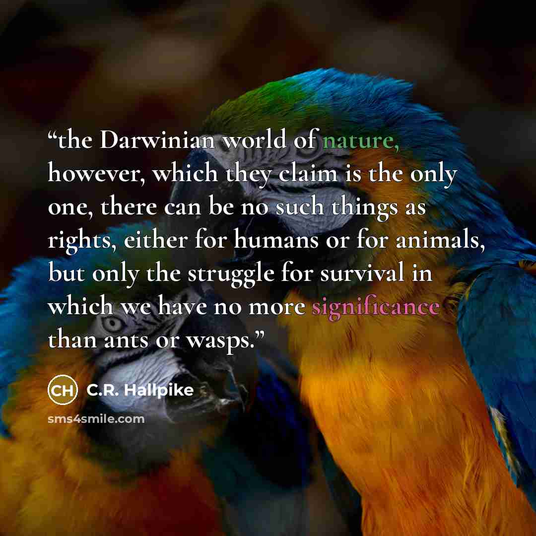 “the Darwinian world of nature, however, which they claim is the only one, there can be no such things as rights, either for humans or for animals, but only the struggle for survival in which we have no more significance than ants or wasps.” quote by C.R. Hallpike