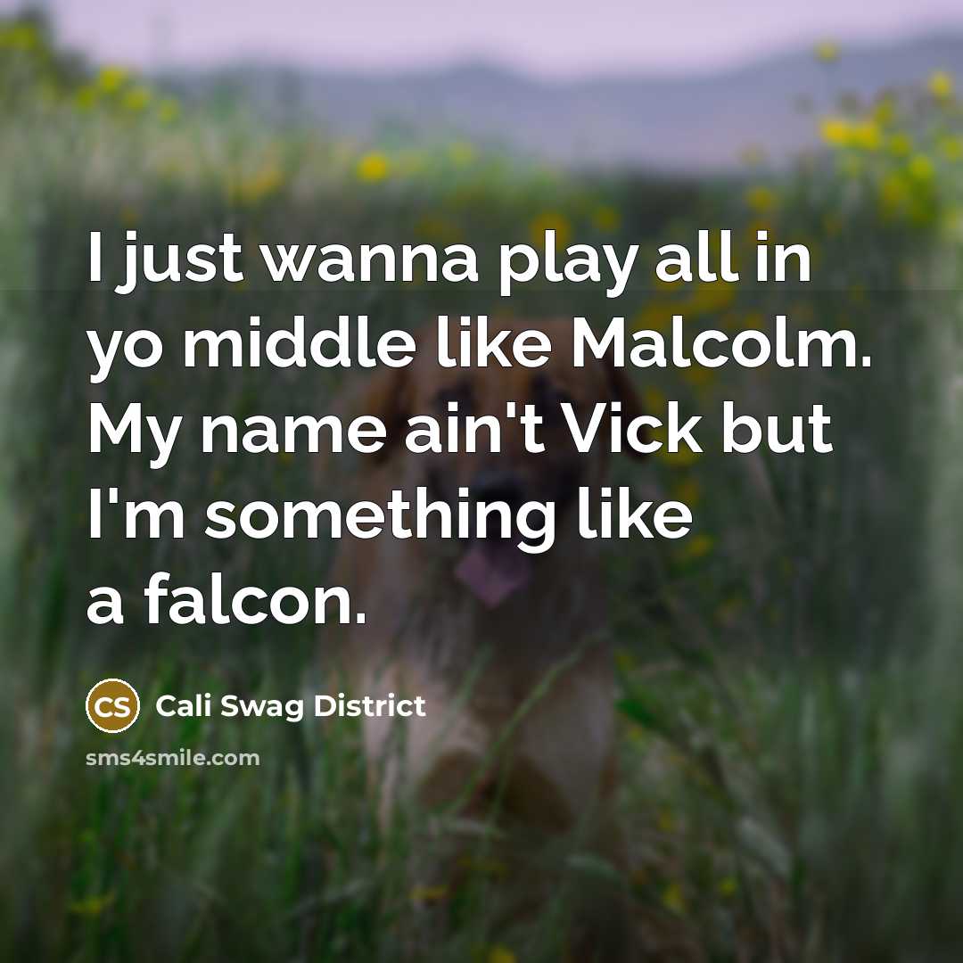 “I just wanna play all in yo middle like Malcolm. My name ain't Vick but I'm something like a falcon.” quote by Cali Swag District