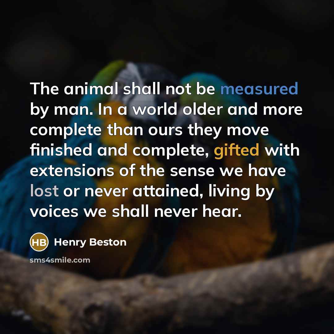 “The animal shall not be measured by man. In a world older and more complete than ours they move finished and complete, gifted with extensions of the sense we have lost or never attained, living by voices we shall never hear.” quote by Henry Beston