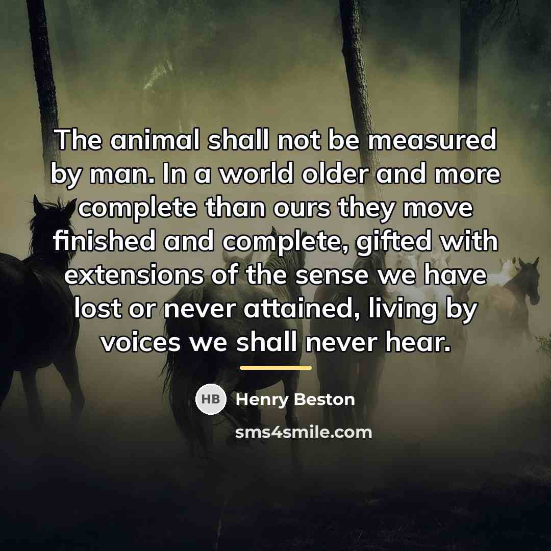 “The animal shall not be measured by man. In a…” quote by Henry Beston
