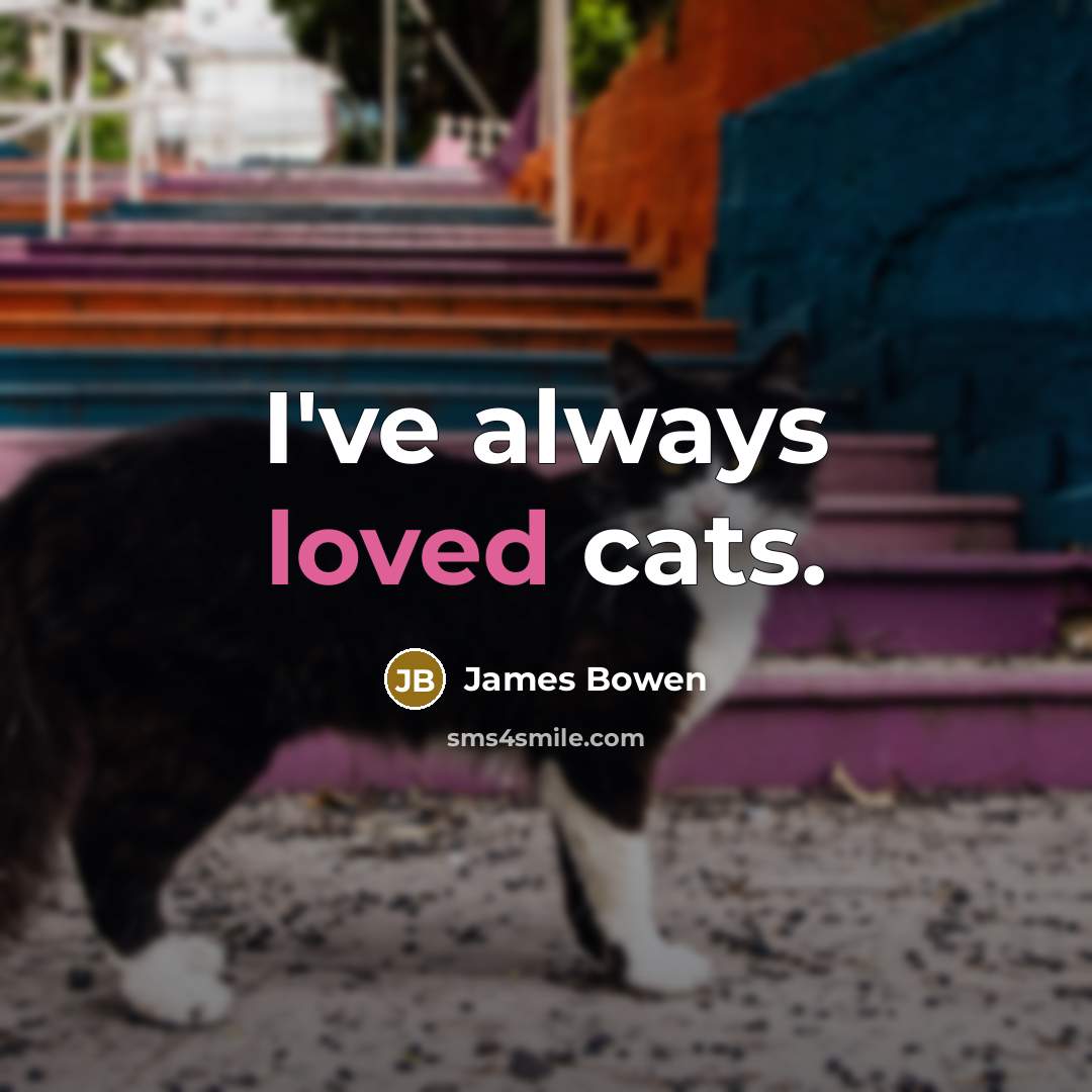 “I've always loved cats.…” quote by James Bowen