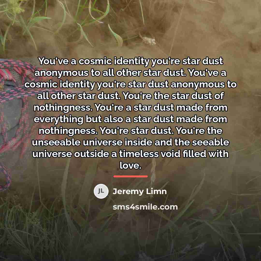 “You've a cosmic identity you're star dust anonymous to all…” quote by Jeremy Limn